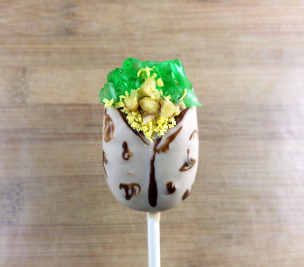 Burrito cake pops - chicken