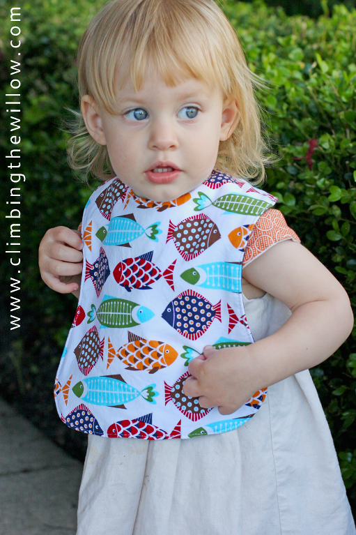 Climbing the Willow Bib