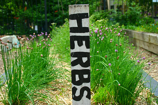 Community Garden Herb Sign