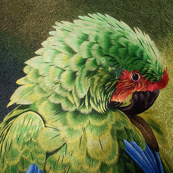 embroidered parrot