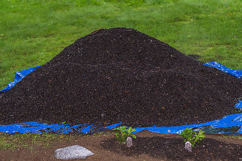 Soil amendments and compost really improve soil