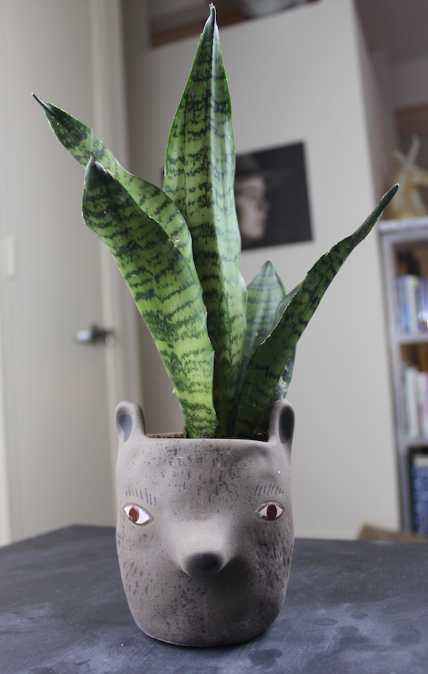 Animal planter