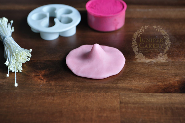 Create pink edible cherry blossoms with this tutorial by Juniper Cakery