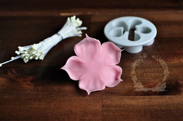 Tutorial for pink cherry blossom flowers - perfect for cakes