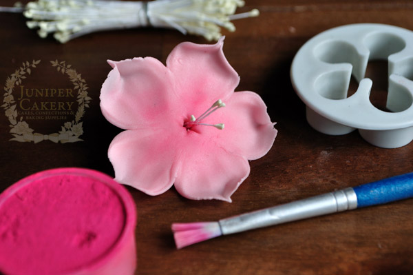 Make delicate cherry blossom flowers that are edible