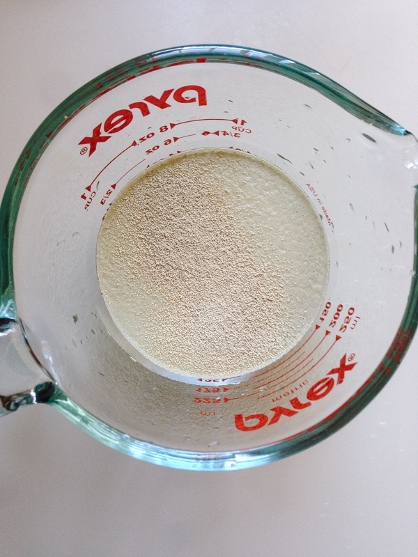 add yeast and sugar