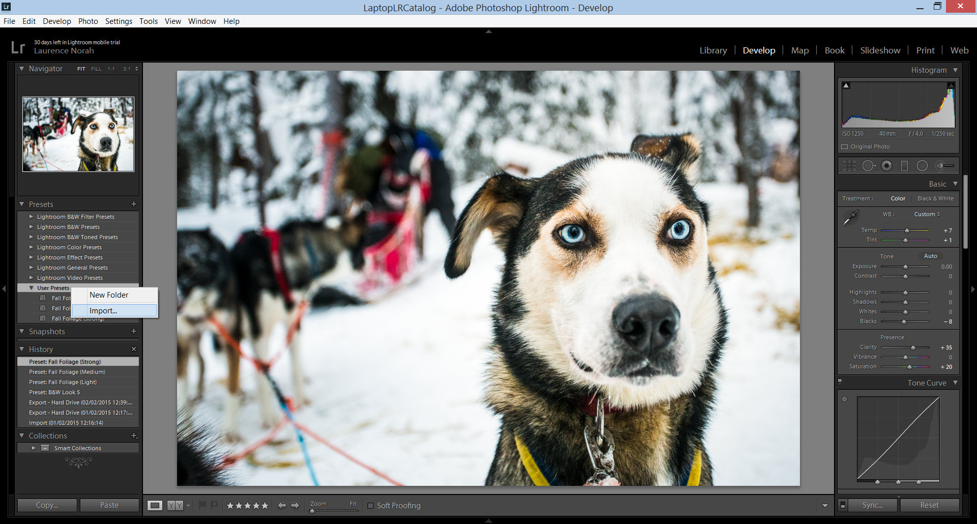 LR preset develop module 2
