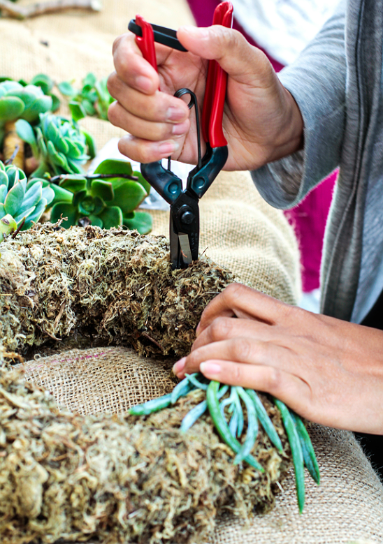 Making Holes in the wreath