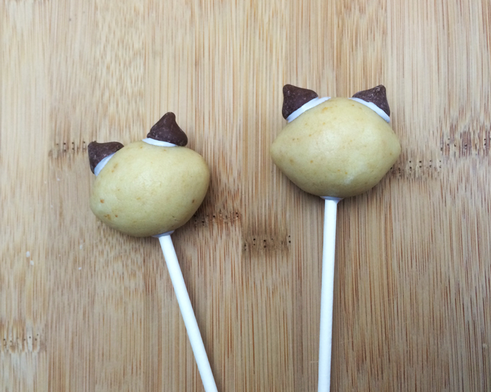 Add ears Raccoon Cake Pops