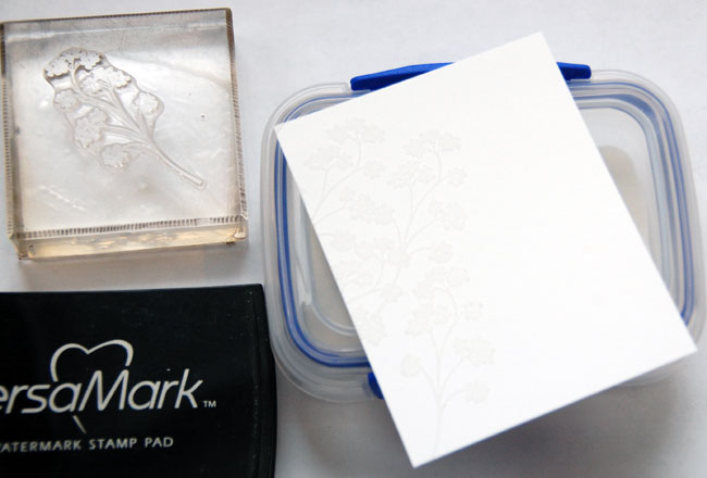 Step-2-Apply clear embossing powder