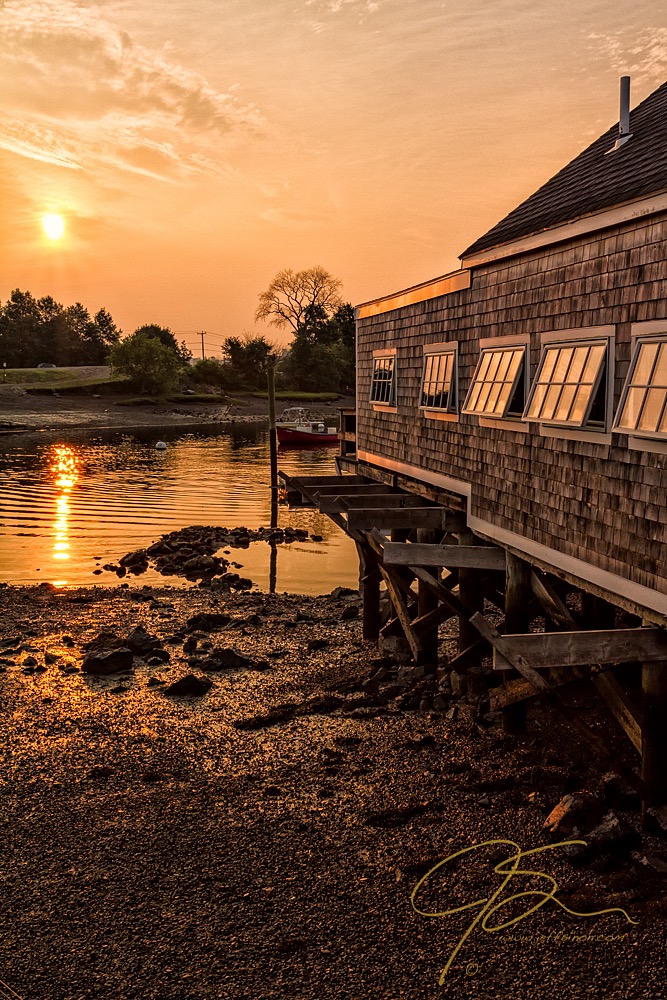 Golden Light, Pierce Island