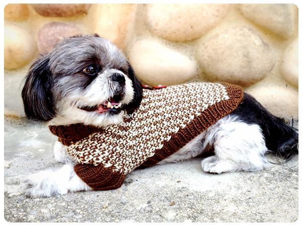 Twin Tweed Dog Sweater knitting patterns
