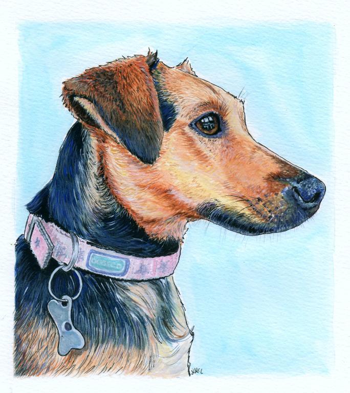 Dog painted in gouache