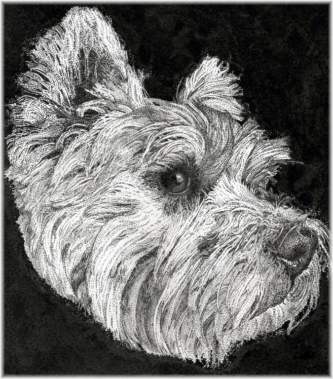 Stippled dog portrait