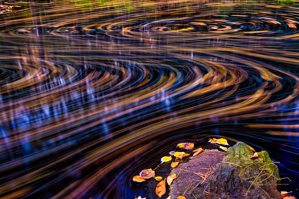 Autumn Chaos