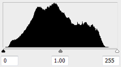 Basic histogram for photography