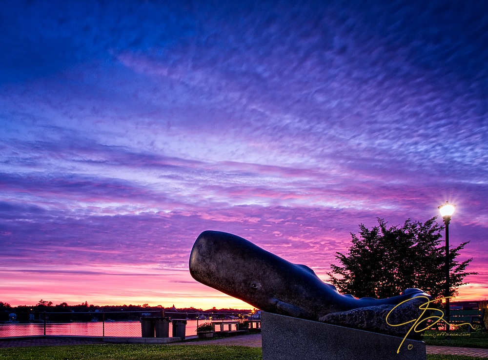 Whale Sculpture At Sunrise. Prescott Park, Portsmouth, NH