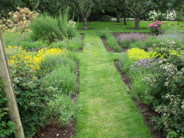 herb garden