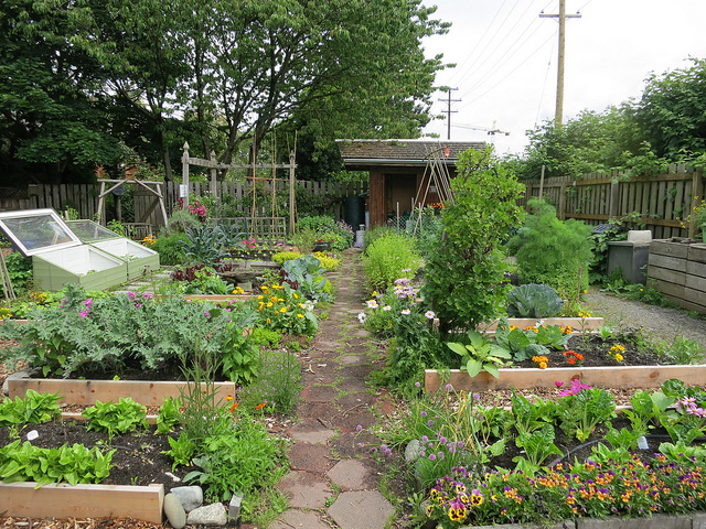 vegetable garden