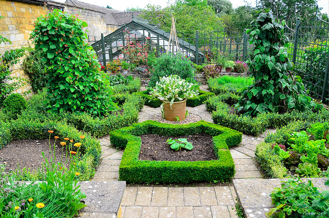 kitchen garden