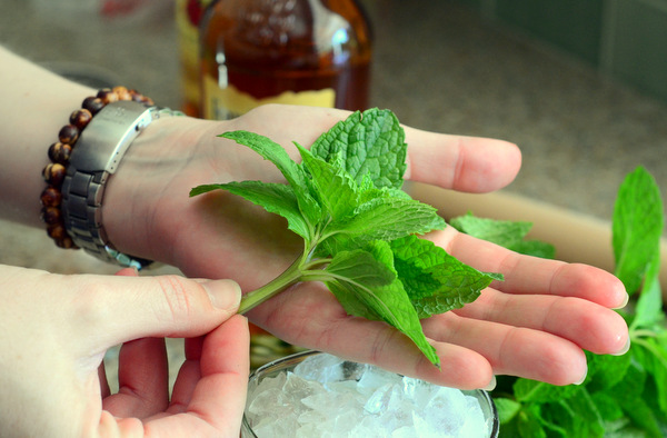 Preparing the garnish for a Mint Julep Cocktail