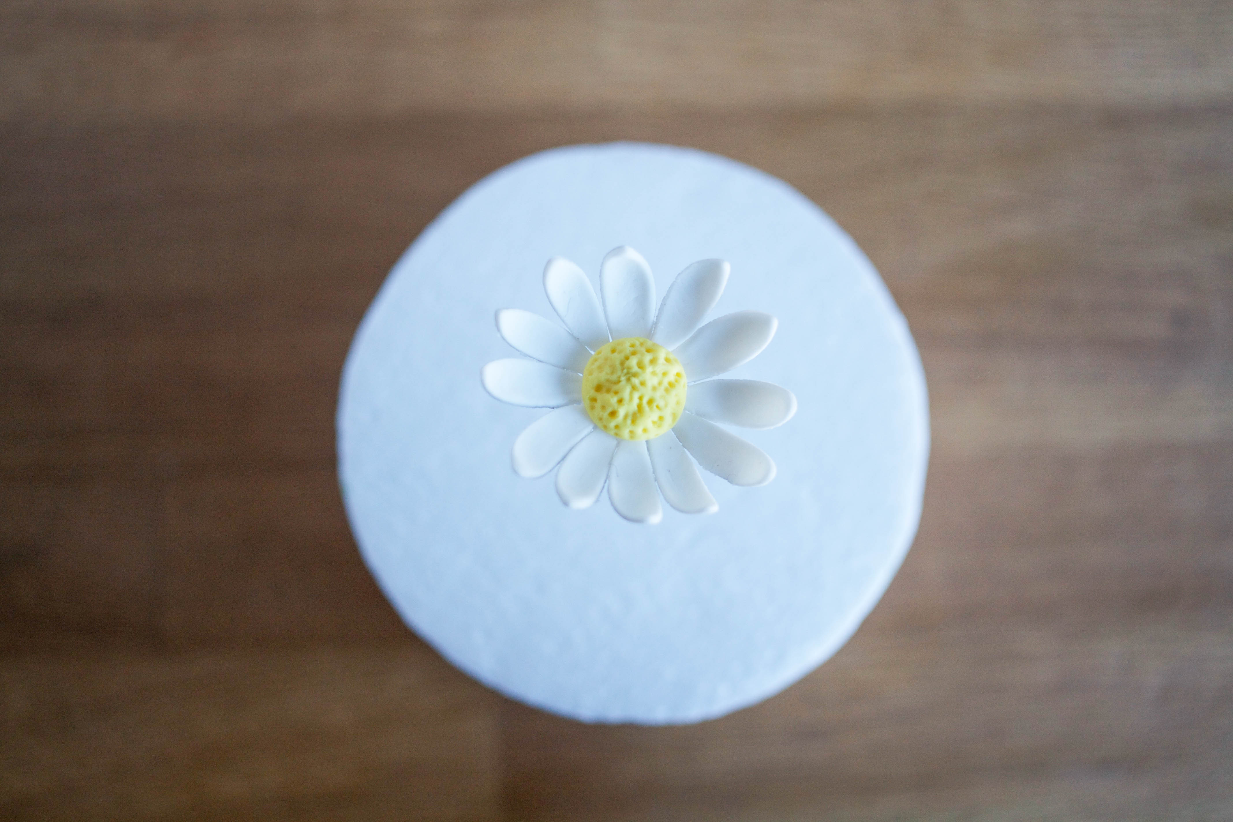 Quick and Easy Gum Paste Daisy | Erin Gardner