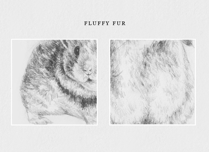 How to draw fluffy fur