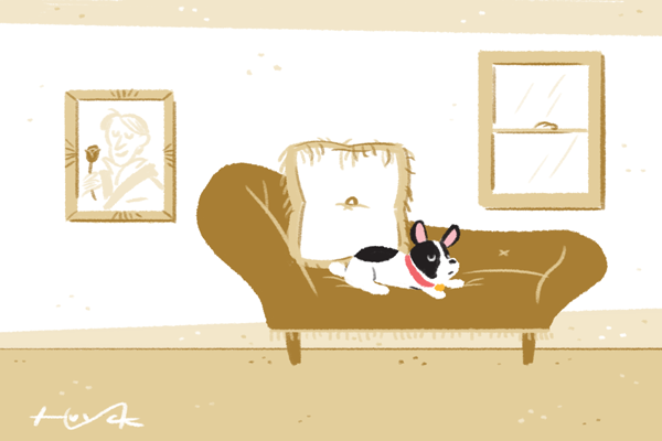 A dog sits on a couch in a room with a painting, and big pillow, and a window