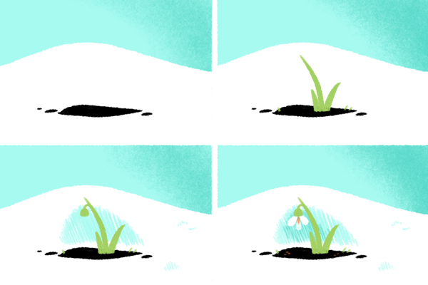 Step by step drawing of a snowdrop flower