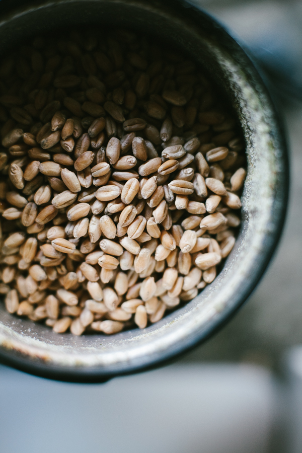 Making Whole Wheat Flour