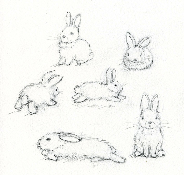 Rabbit sketches