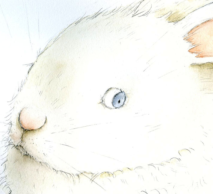 Paint a bunny eye