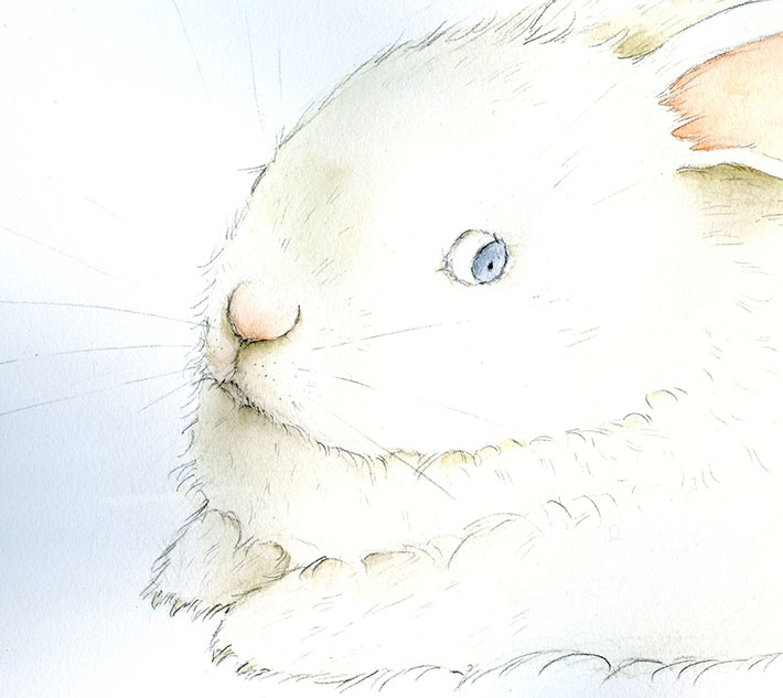Drawing bunny whiskers