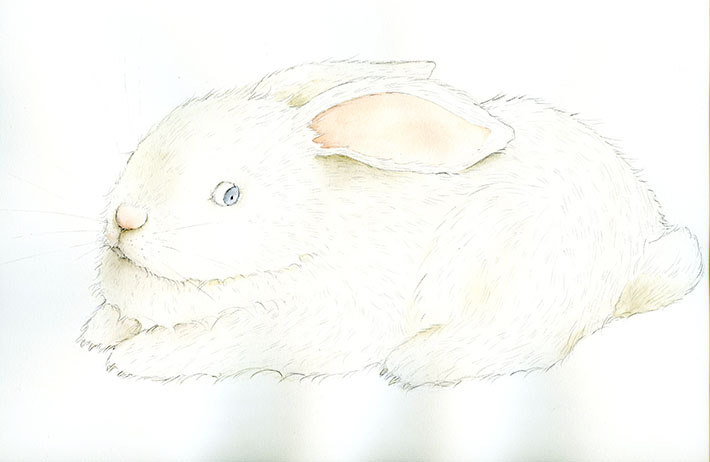 Beautiful bunny painting