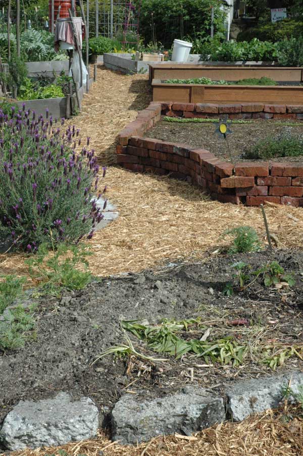 Raised Garden Beds