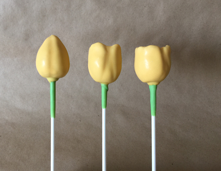 Tulip Cake Pops