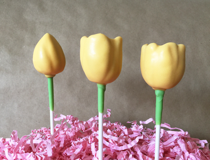 Tulip Cake Pops