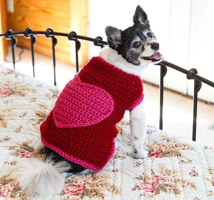 crochet dog sweater