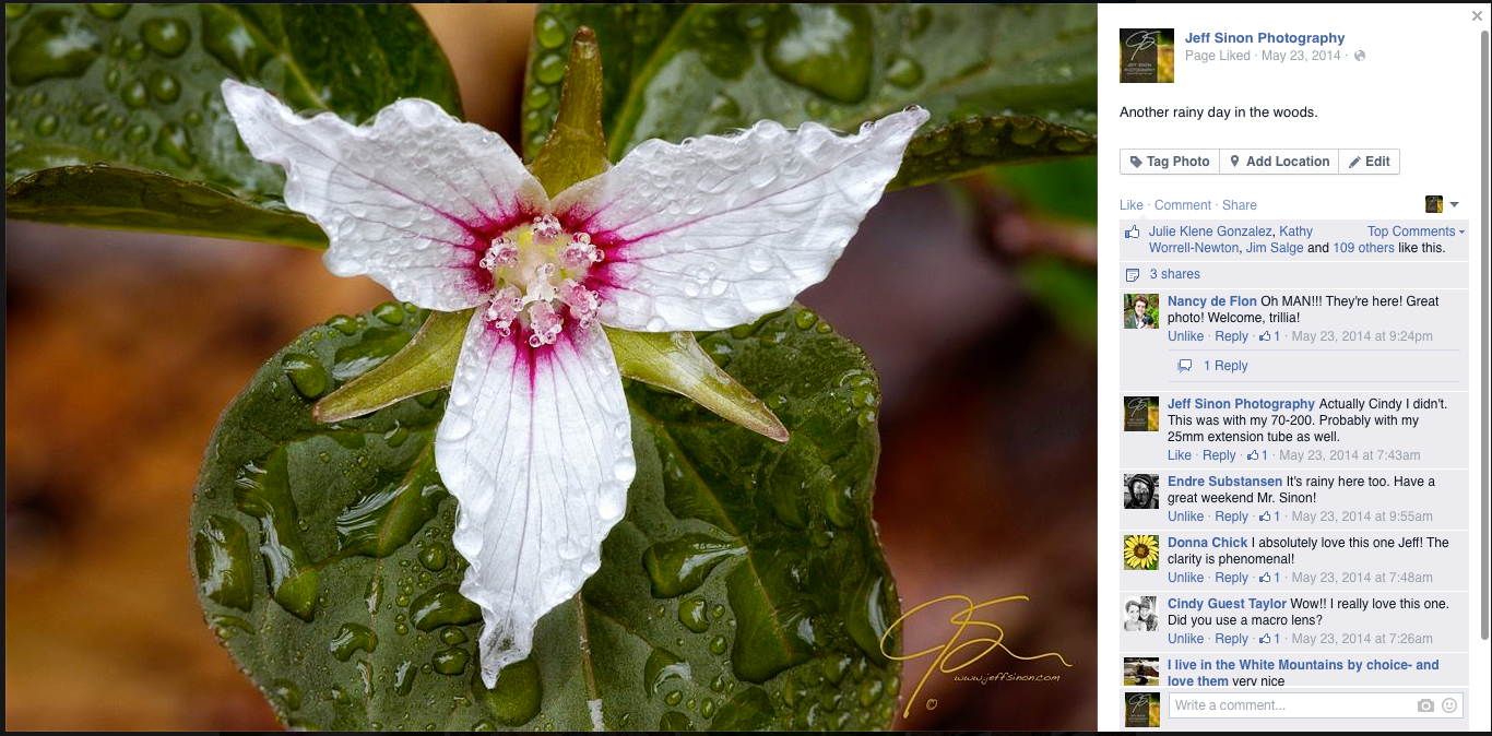 fan page trillium