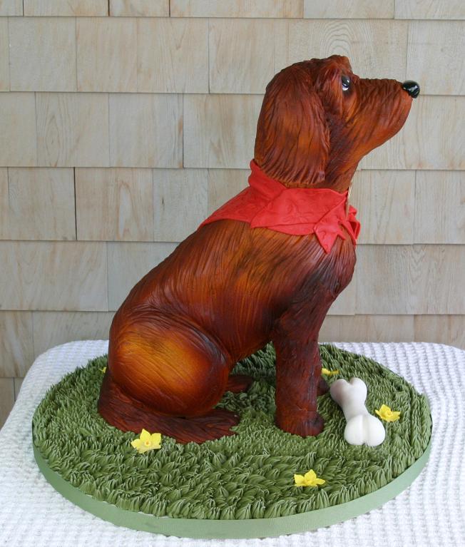 Dog cake by Bluprint member Rockport