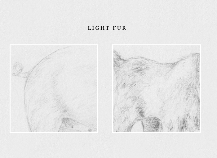 How to draw light fur