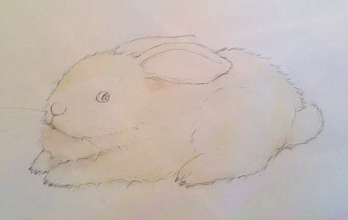 Bunny color sketch