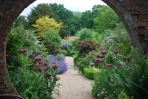 knowing your pH soil levels helps you grow a beautiful garden