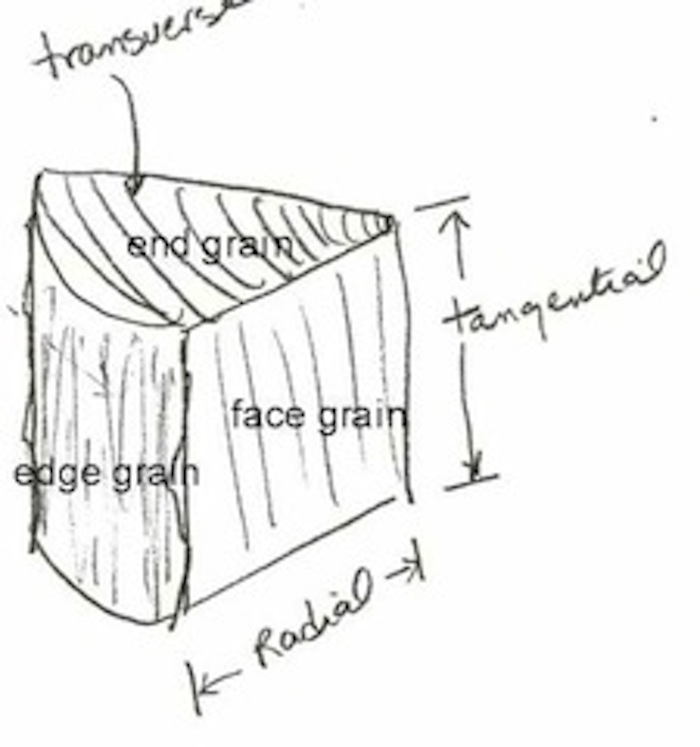 wood grain orientation