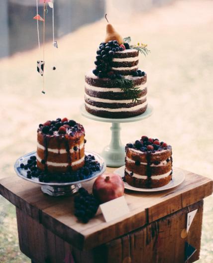 Naked Cakes by Alana Jones Mann | Erin Gardner | Bluprint