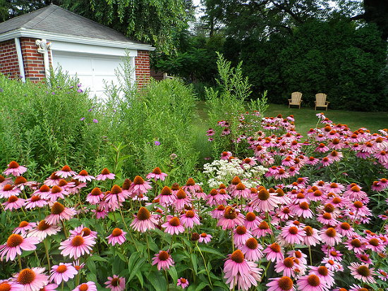 Photo via Albright College Garden via CC BY 2.0