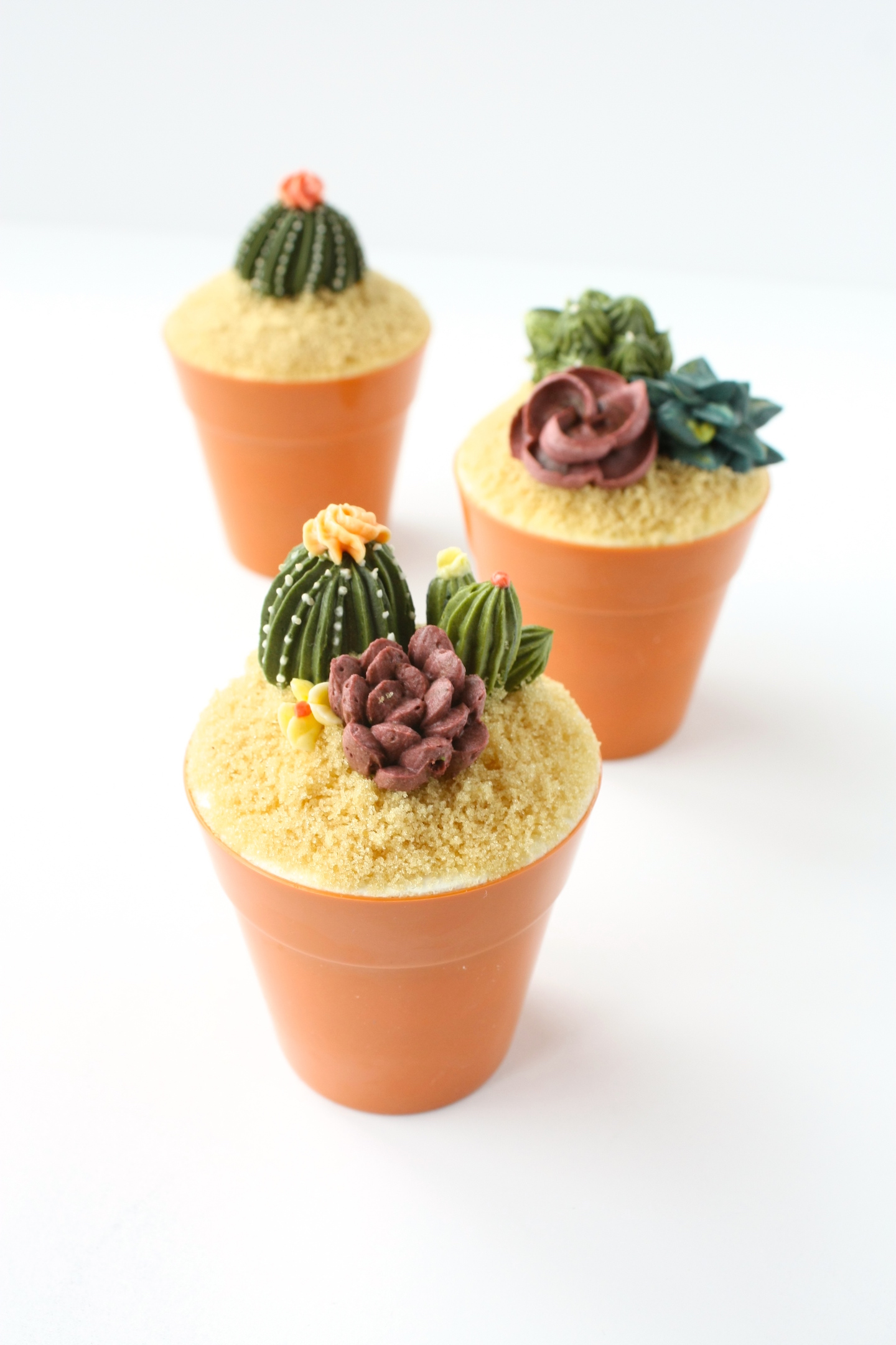 Piped Buttercream Cactus And Succulents by Liz Shim | Erin Gardner | Bluprint