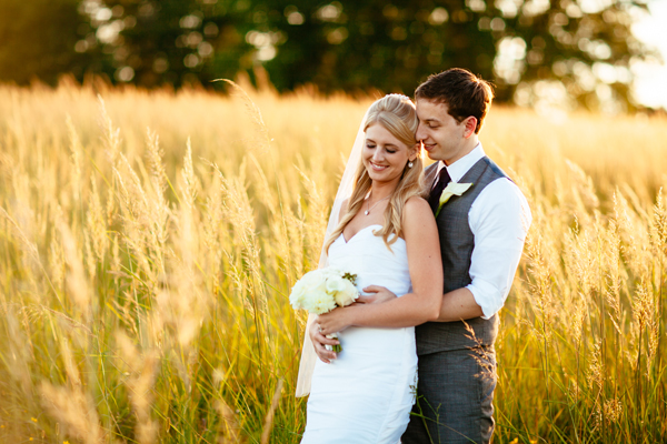 Beautiful backlit field