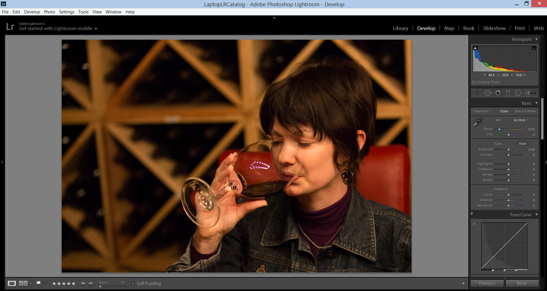Image loaded in the Develop Module