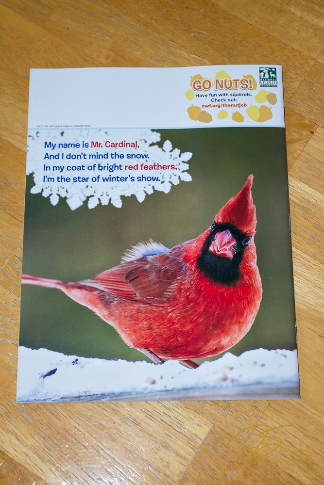 Cardinal photo on back cover of magazine